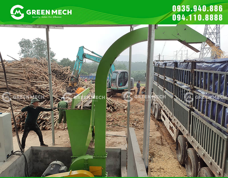 Lắp đặt băng tải và máy băm gỗ 10 tấn đến Quảng Bình