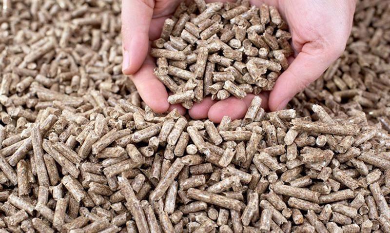 Viên nén sinh khối xuất khẩu